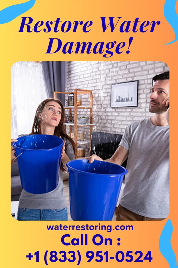 water restoration Sterling Water Solutions Pros Branchville