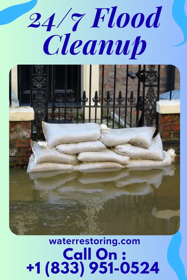 24/7 Flood Cleanup in Branchville, VA