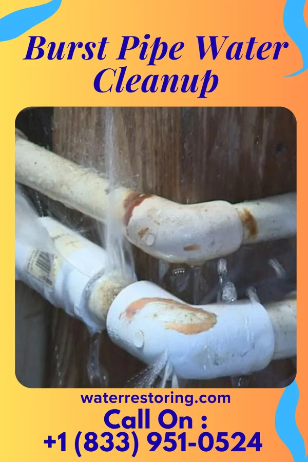 Burst Pipe Water Cleanup in Branchville, VA