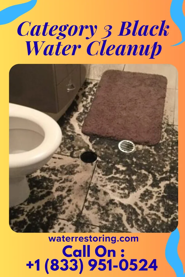 Category 3 Black Water Cleanup in Branchville, VA