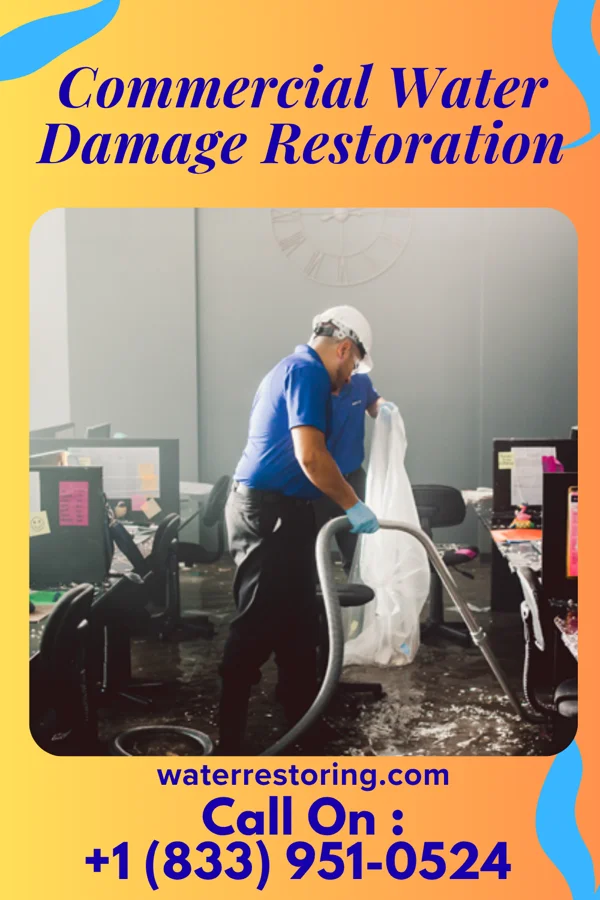 Commercial Water Damage Restoration in Branchville, VA