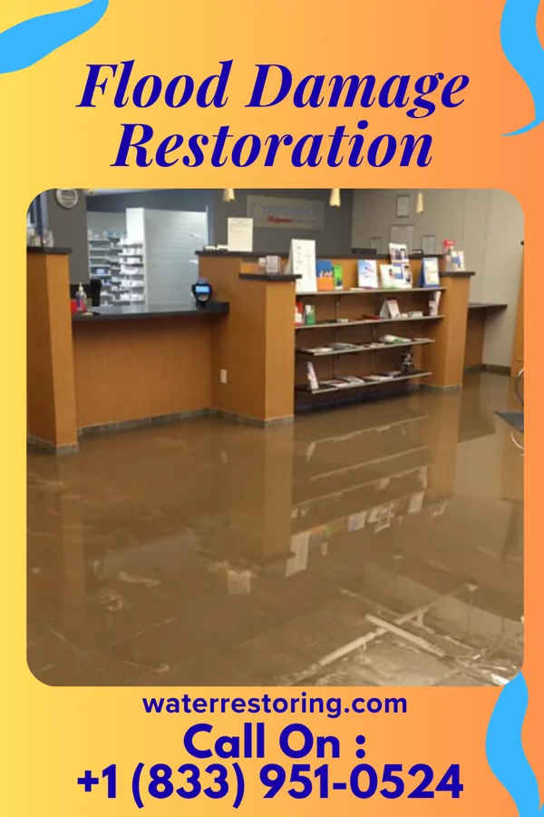 Flood Damage Restoration in Branchville, VA