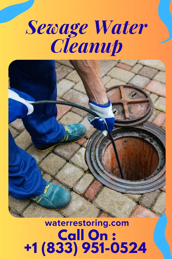 Sewage Water Cleanup in Branchville, VA