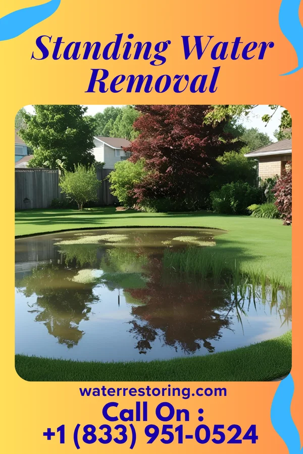 Standing Water Removal in Branchville, VA